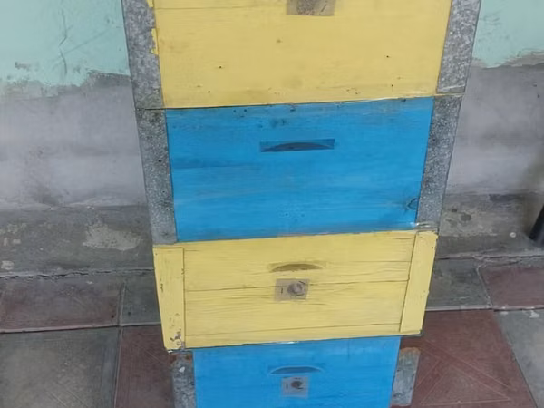 Arı pətəyi (taxta korpuslu, çoxmərtəbəli) Dəst qiyməti 40 manat(