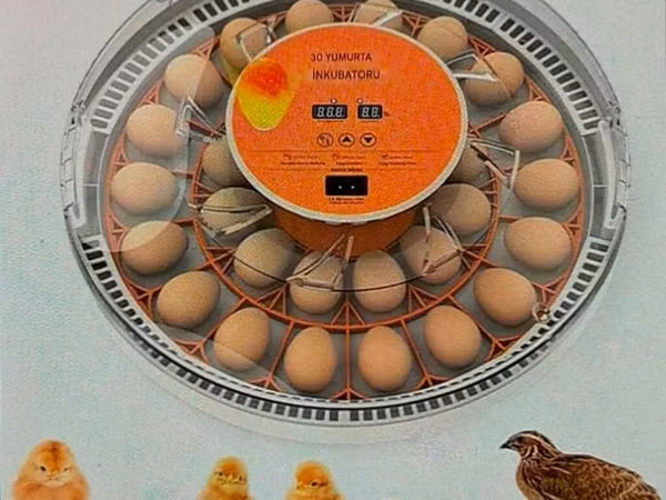 Tam avtomatik inkubator 30 yumurta. Satış evdən məhdut miqdarda. Əlaq'