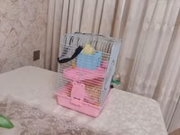Siçan/hamster ile 2 mərtəbəli!qəfəs dəsti 'qızdı yemək və qumu ile — Foto 3