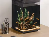 Խելացի ակվարիում Аквариум умный Xiaomi Mijia Smart Fish Tank MYG200 10л — сүрөт 1