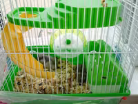 Cücə hamsterlər üçün tam komplekt qəfəs dəsti. Şəkillərdə görünən — 照片 2