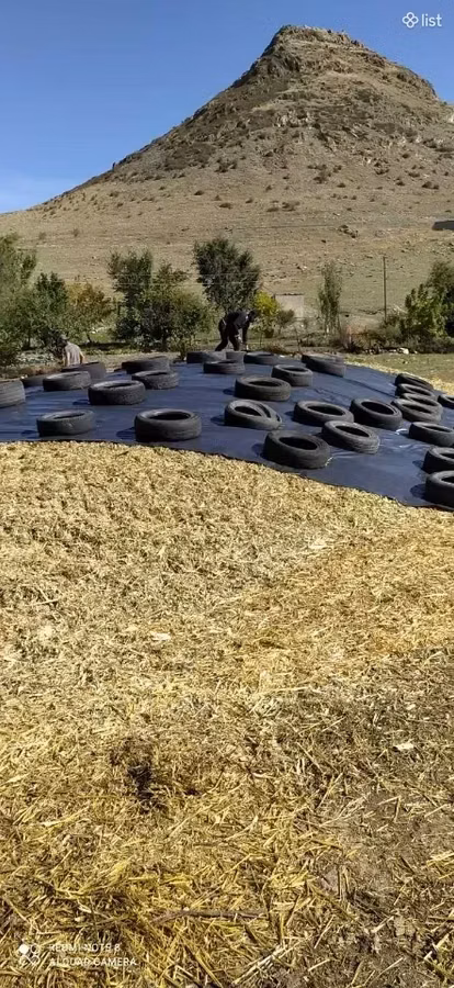 Եգիպտացորենի Սիլոսի Վաճառք
