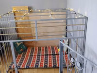 Metaldan geniş ev tipi it qəfəsi / playpen - Material: qalın metal — الصورة 1