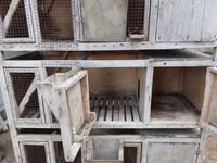 Çoxbölməli taxta qəfəs sistemi - Material: möhkəm taxta karkas, ön — 照片 1