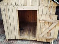 Taxta it evi / dam - Material: təbii taxta lövhələr, möhkəm karkas - — Foto 3