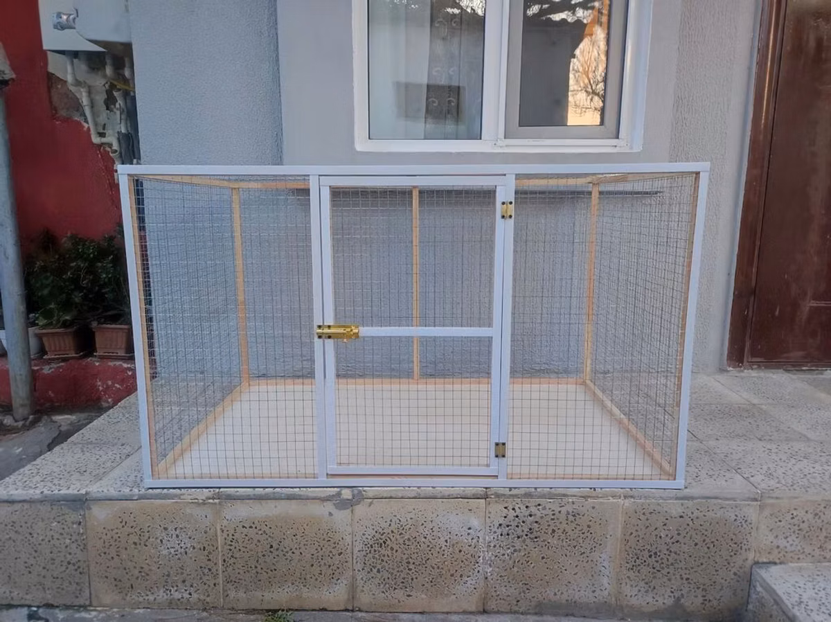 Papuqay,dovşan,hamster,şinşila,bildirçin,cücə,xamyak,pişik,quş,tısbağa