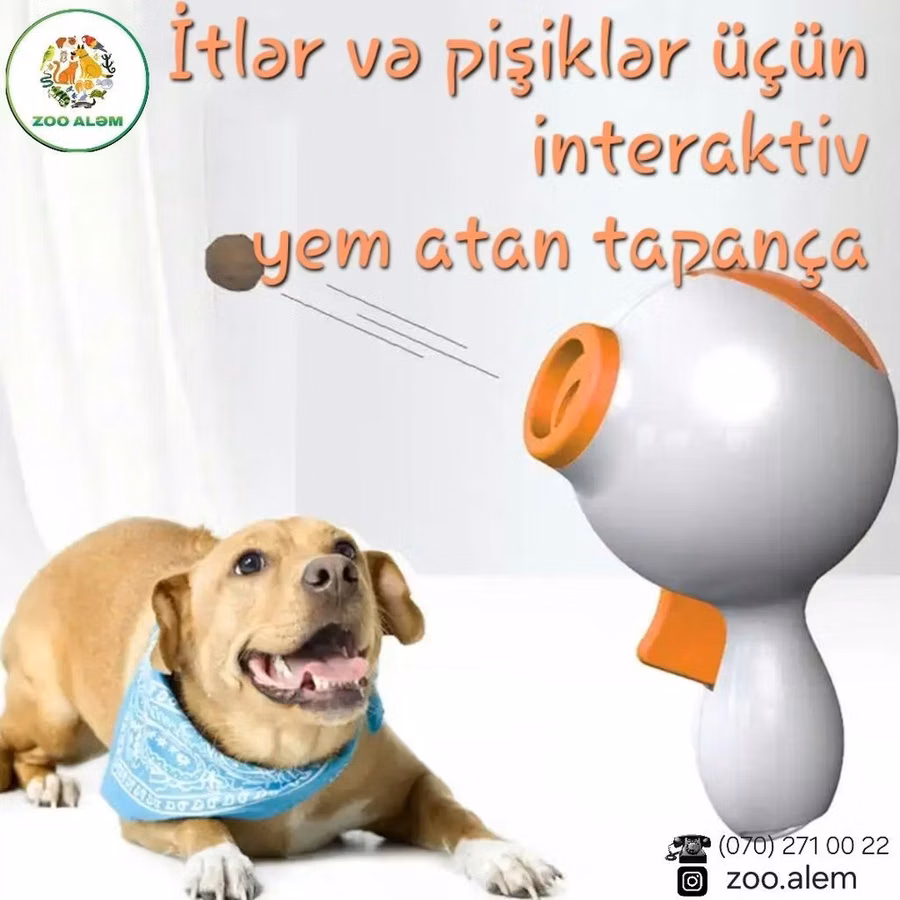 Pişik və itlər üçün qeyri- adi, interaktiv oyuncaq yem tapançasına nə