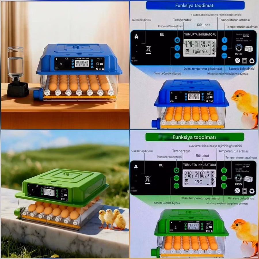 Tam avtomatik inkubator / su və yem qabı daxil./Göy-1əd.yaşıl 1əd