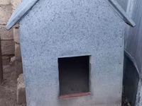 Satılır 70 manat.İt yuvası.Dəmir içi lambirin və — foto 3