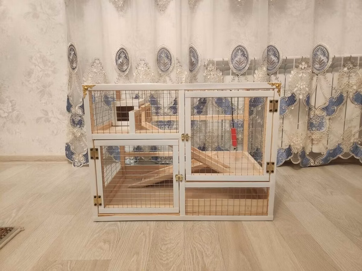 Dovşan,hamster,dağ