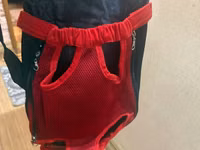 Balaca it/pişik üçün ön tərəfdən daşıma çantası (pet carrier) - — الصورة 3