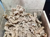 Կենդանիների վիտամինացված կեր — Foto 3