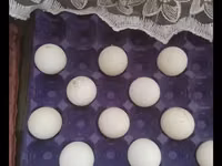 Turkeys — Foto 3
