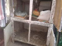 HAZİR BİZNES . guş saxlamg ucun dam. 2- ki mertebeden ibaret dir — foto 5