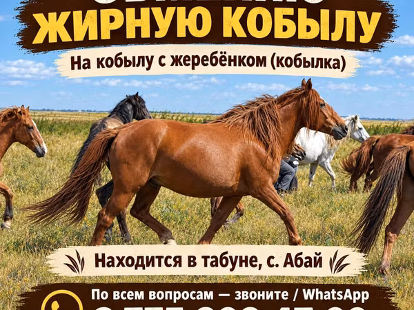 Jument, Chevaux
