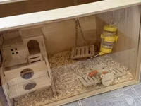 Taxta hamster evi və aksesuar dəsti / 2 balaca hamster (2 ayliq,hər — сүрөт 1