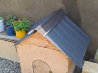 Taxta it evi / heyvan üçün açıq hava evi - Material: qalın faner və — 照片 2