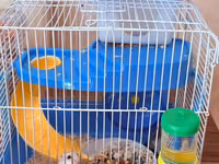 Hamster üçün tam dəst qəfəs Ağ və boz rəngli sevimli xamyaklardır — foto 4