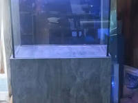 Ակվարիում, ակվարիումներ — foto 1