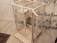 Papuqay,dovşan,hamster,şinşila,bildirçin,cücə,xamyak,pişik,quş,tısbağa — الصورة 2
