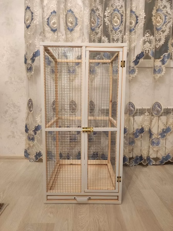 Papuqay,dovşan,hamster,şinşila,bildirçin,cücə,xamyak,pişik,quş,tısbağa