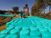 Full Corn Silage — फ़ोटो 1