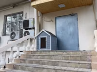 It evi, ölçüsü 85x85 sm, hundurluyu 1.10 sm. Yagis kecirtmir ve evin — foto 3