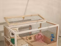 Hamster/kiçik gəmirici üçün geniş taxta — 写真 4