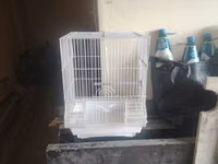 Papuqay ucun qefes 1 eded 10 azn — foto 3