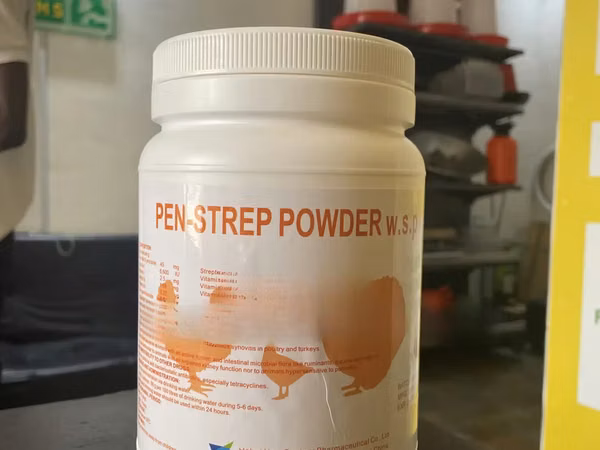 Penstrep Powder