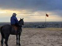 雄馬, Hanoverian — 写真 2