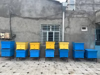 Arıçılıq üçün taxta arı pətəkləri - Model: çoxkorpuslu taxta pətək - — foto 1