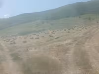 Baloți de earba — ფოტო 2