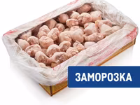 Кура — الصورة 1