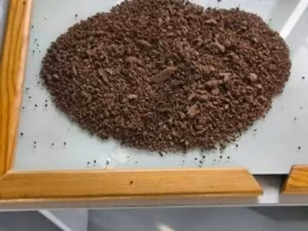 ЖМЫХ РАПСОВЫЙ протеин 37,0-38,0%, собственного производства.