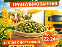 Пивная дробина гранулированная в Красном холме — foto 1