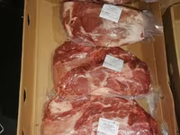 Säue, Schweine — Foto 4