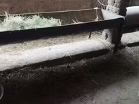 Oxir mollarga va — Foto 3
