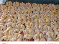 Тушки перепелок. 3500 голов. — photo 2