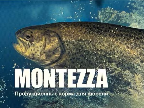 ПРОДУКЦИОННЫЕ КОРМА ДЛЯ РЫБ MONTEZZA, КОРМ ДЛЯ ФОРЕЛИ