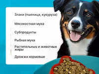 Корм для собак эконом-класса Лай 10кг — الصورة 2