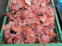 Закупаем субпродукты, рубец, фарш. Говядина, баранина, конина, птица. Для кормления собак. Viber. — ფოტო 4