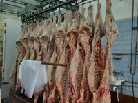 Субпродукты говяжьи и бараньи — photo 4