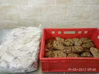 Почки говяжьи — फ़ोटो 1