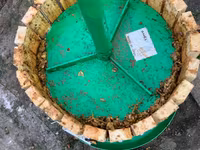 Producție specializată pentru recoltarea și producere a strugurilor ! — 照片 4