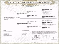 فرس, Quarter Horse — الصورة 4