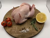 Лапки куриные — Foto 1