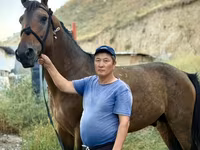 Caballo, French Trotter — foto 1