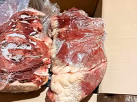 Говядина. шейно- лопаточный отруб. — Foto 2