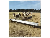 Vaca, Montbéliarde — foto 1